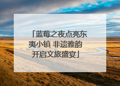 蓝莓之夜点亮东夷小镇 非遗雅韵开启文旅盛宴