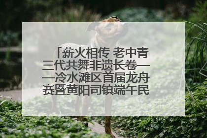 薪火相传 老中青三代共舞非遗长卷——冷水滩区首届龙舟赛暨黄阳司镇端午民俗文化活动侧记