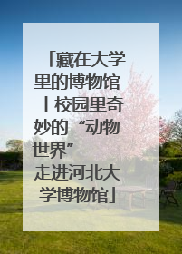 藏在大学里的博物馆丨校园里奇妙的“动物世界”——走进河北大学博物馆