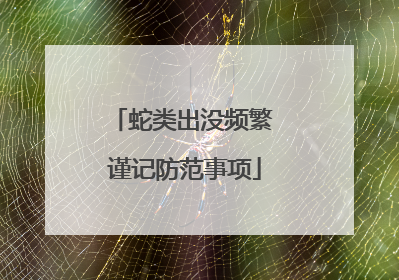 蛇类出没频繁 谨记防范事项