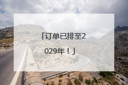 订单已排至2029年！