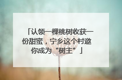 认领一棵桃树收获一份甜蜜，宁乡这个村邀你成为“树主”