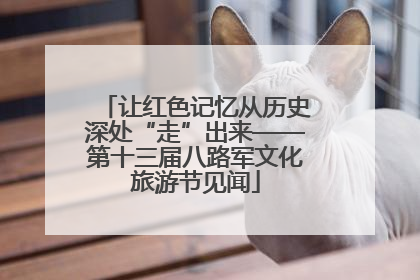 让红色记忆从历史深处“走”出来——第十三届八路军文化旅游节见闻