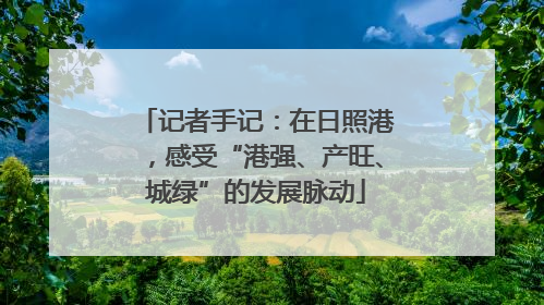 记者手记：在日照港，感受“港强、产旺、城绿”的发展脉动