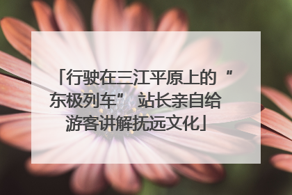 行驶在三江平原上的“东极列车” 站长亲自给游客讲解抚远文化