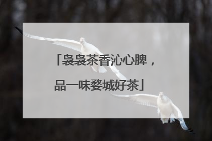 袅袅茶香沁心脾，品一味婺城好茶