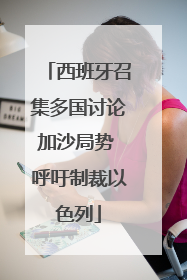 西班牙召集多国讨论加沙局势 呼吁制裁以色列