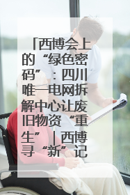 西博会上的“绿色密码”：四川唯一电网拆解中心让废旧物资“重生”｜西博寻“新”记