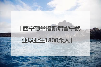 西宁硬举措新增留宁就业毕业生1800余人