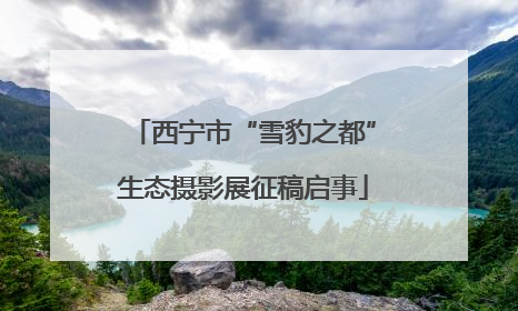 西宁市“雪豹之都”生态摄影展征稿启事