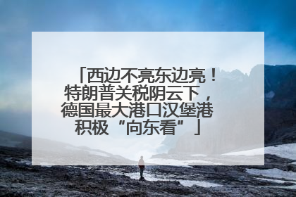 西边不亮东边亮！特朗普关税阴云下，德国最大港口汉堡港积极“向东看”