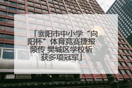 襄阳市中小学“向阳杯”体育竞赛捷报频传 樊城区学校斩获多项冠军
