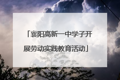 襄阳高新一中学子开展劳动实践教育活动
