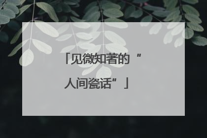 见微知著的“人间瓷话”
