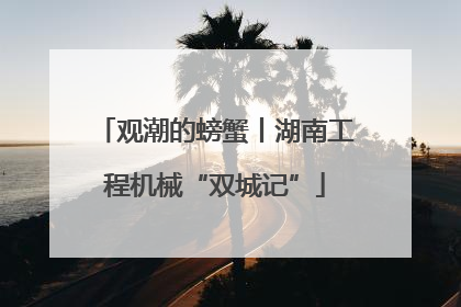 观潮的螃蟹丨湖南工程机械“双城记”