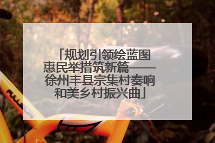 规划引领绘蓝图 惠民举措筑新篇——徐州丰县宗集村奏响和美乡村振兴曲