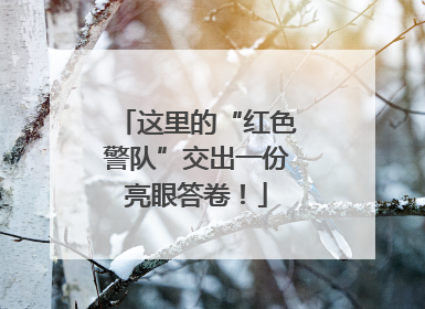 这里的“红色警队”交出一份亮眼答卷！