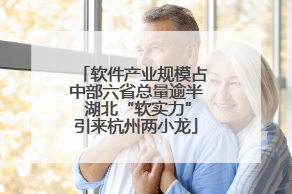 软件产业规模占中部六省总量逾半 湖北“软实力”引来杭州两小龙