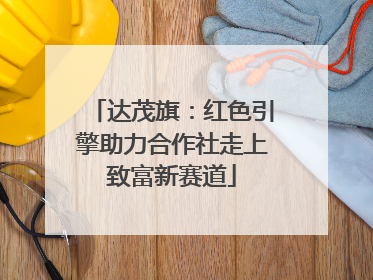 达茂旗：红色引擎助力合作社走上致富新赛道