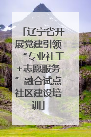 辽宁省开展党建引领“专业社工+志愿服务”融合试点社区建设培训