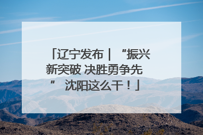 辽宁发布｜“振兴新突破 决胜勇争先” 沈阳这么干！