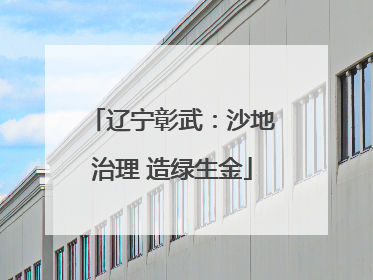 辽宁彰武：沙地治理 造绿生金