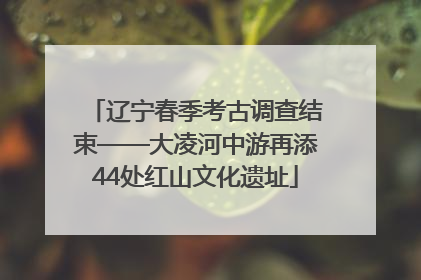 辽宁春季考古调查结束——大凌河中游再添44处红山文化遗址