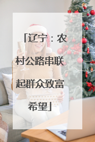 辽宁：农村公路串联起群众致富希望