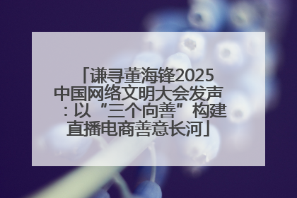 谦寻董海锋2025中国网络文明大会发声：以“三个向善”构建直播电商善意长河