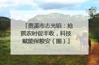 贵溪市志光镇：抢抓农时促丰收，科技赋能保粮安（图）