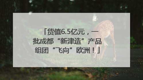 货值6.5亿元，一批成都“新津造”产品组团“飞向”欧洲！
