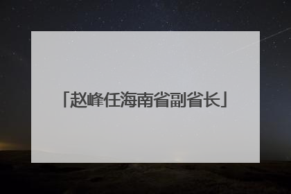 赵峰任海南省副省长