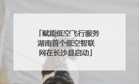 赋能低空飞行服务 湖南首个低空智联网在长沙县启动