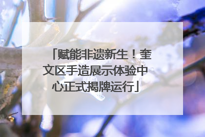 赋能非遗新生！奎文区手造展示体验中心正式揭牌运行