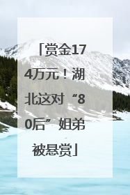 赏金174万元！湖北这对“80后”姐弟被悬赏