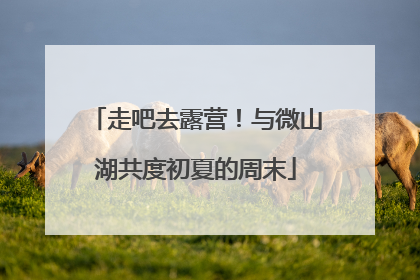 走吧去露营！与微山湖共度初夏的周末