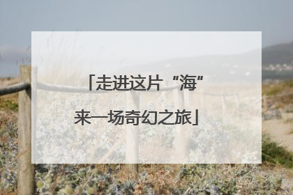 走进这片“海”来一场奇幻之旅