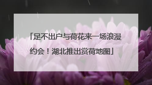 足不出户与荷花来一场浪漫约会！湖北推出赏荷地图