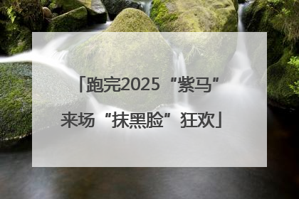 跑完2025“紫马” 来场“抹黑脸”狂欢