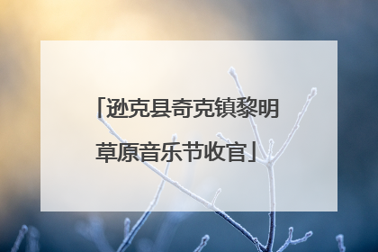 逊克县奇克镇黎明草原音乐节收官