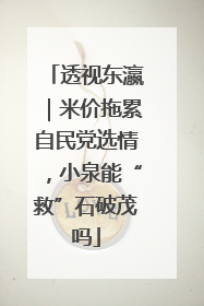 透视东瀛｜米价拖累自民党选情，小泉能“救”石破茂吗