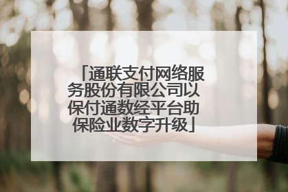 通联支付网络服务股份有限公司以保付通数经平台助保险业数字升级