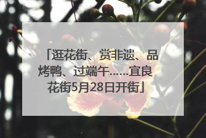 逛花街、赏非遗、品烤鸭、过端午……宜良花街5月28日开街