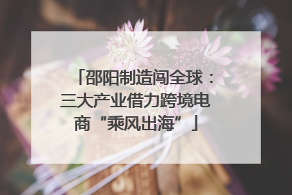 邵阳制造闯全球：三大产业借力跨境电商“乘风出海”