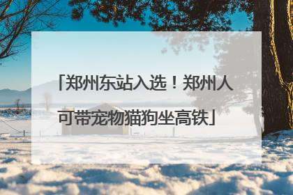 郑州东站入选！郑州人可带宠物猫狗坐高铁