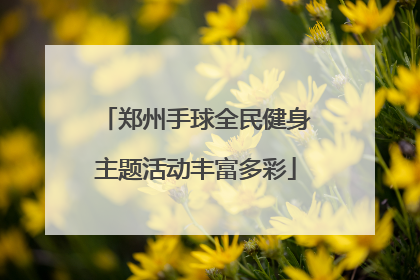 郑州手球全民健身主题活动丰富多彩