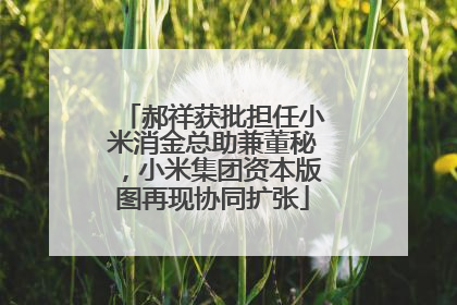 郝祥获批担任小米消金总助兼董秘，小米集团资本版图再现协同扩张