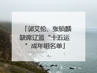 郭艾伦、张镇麟缺席辽篮“十五运”成年组名单