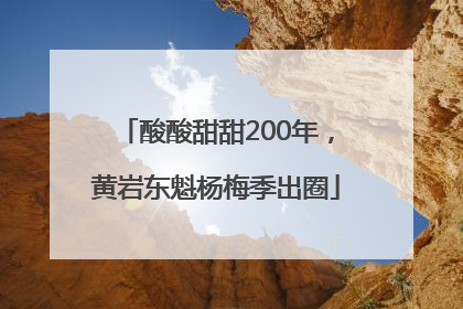 酸酸甜甜200年，黄岩东魁杨梅季出圈