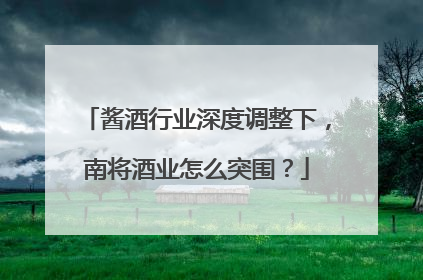 酱酒行业深度调整下，南将酒业怎么突围？